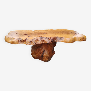 Tree trunk coffee table in elm burl