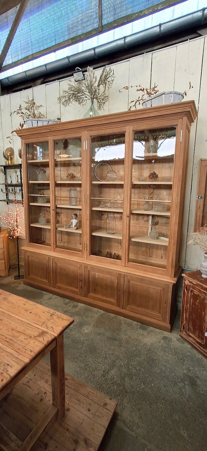 Grande vitrine ancienne de musée