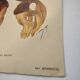 Botanical Chromo-Lithograph from 1897 - Stanhopea Tigrina Major - Original plate. Old engraving