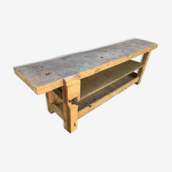 Carpenter workbench