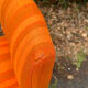 Paire de chaises Georges Frydman