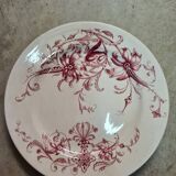 Samaritan Squirrel Service EC