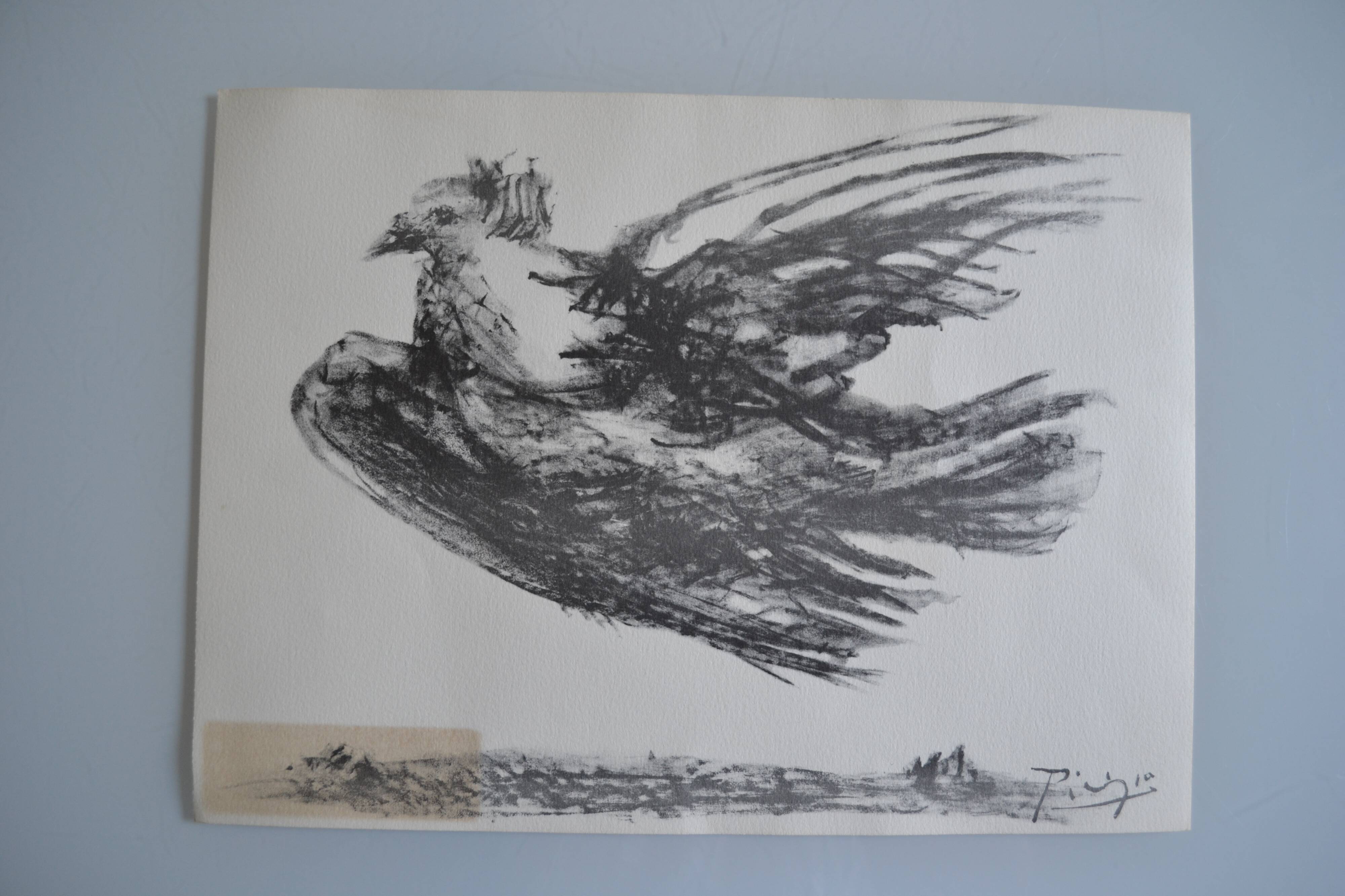Picasso Lithographie originale 1959 La colombe en vol 38x28cm