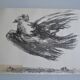Picasso Lithographie originale 1959 La colombe en vol 38x28cm
