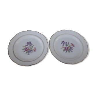 2 plates of earthenware from Gien model Florence diam 23.5 cm