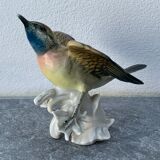 Bird numbered and signed Karl Ens, in Saxon porcelain, nineteenth century
