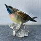 Oiseau numéroté et signé Karl Ens, en porcelaine de Saxe, XIXème siècle