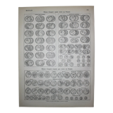 Engraving on coins of 1898