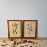 Pair of vintage frames watercolors flowers