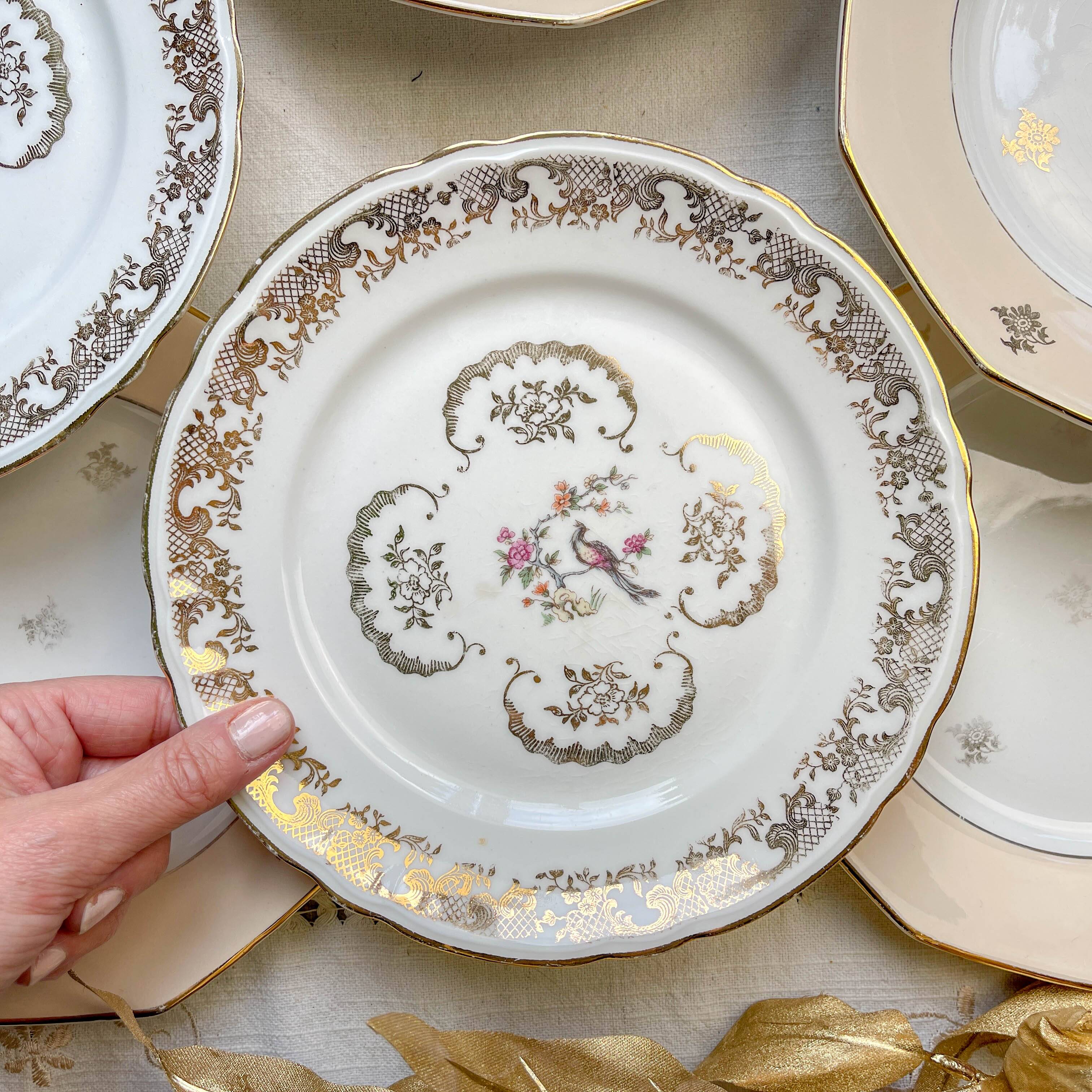 8 small vintage mismatched plates in French Limoges porcelain, Orchies - golden flower and bird motifs