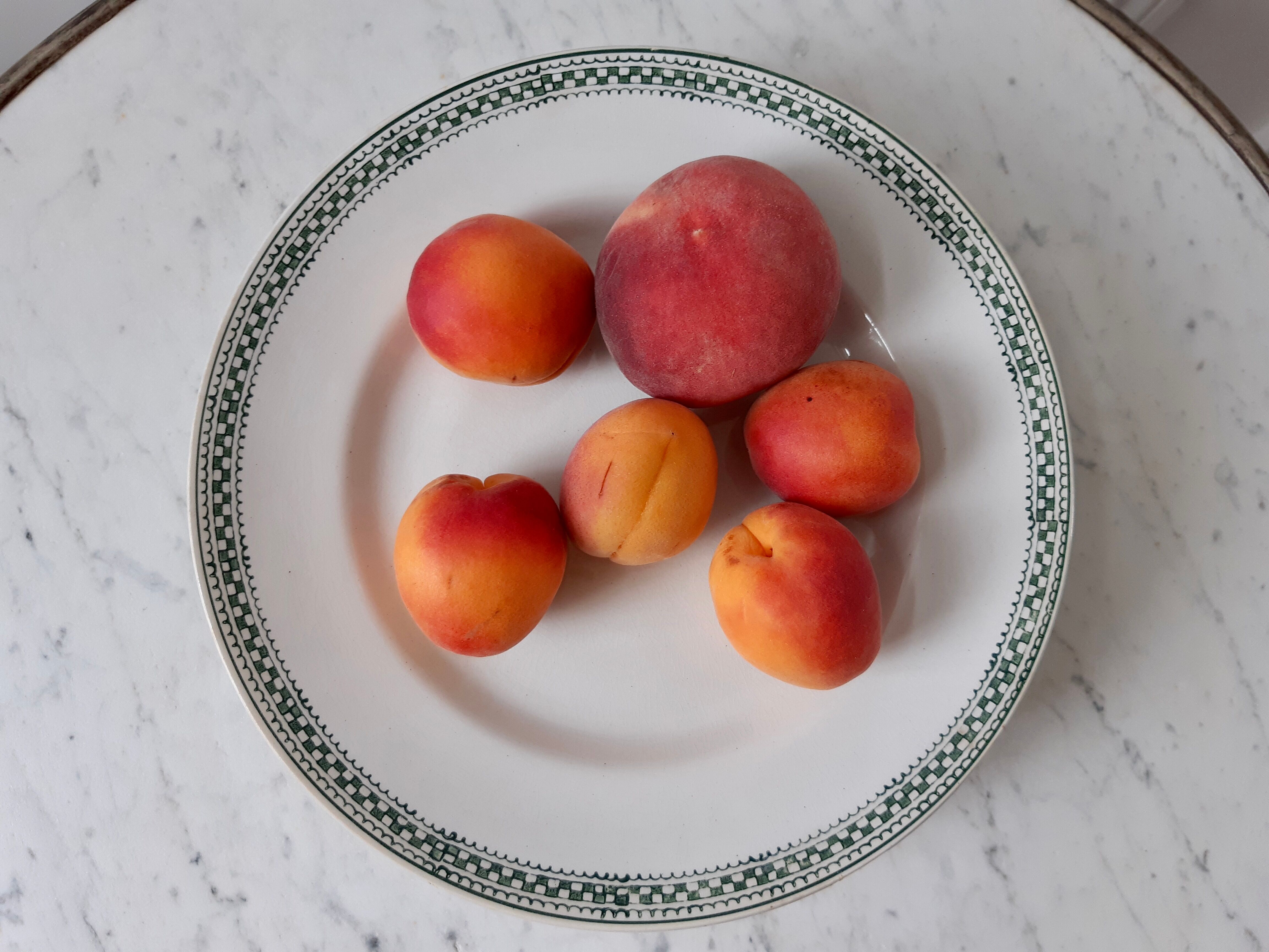 Compotier bas Saint Amand