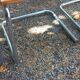 Set of 3 Cesca B32 chairs by Marcel Breuer