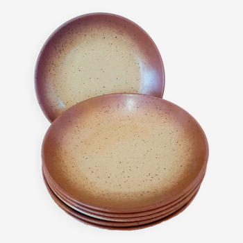 Hollow stoneware plates