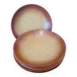 Hollow stoneware plates
