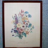 Framed Vilmorin lithograph, bouquet No 7, 1857, E. Champin