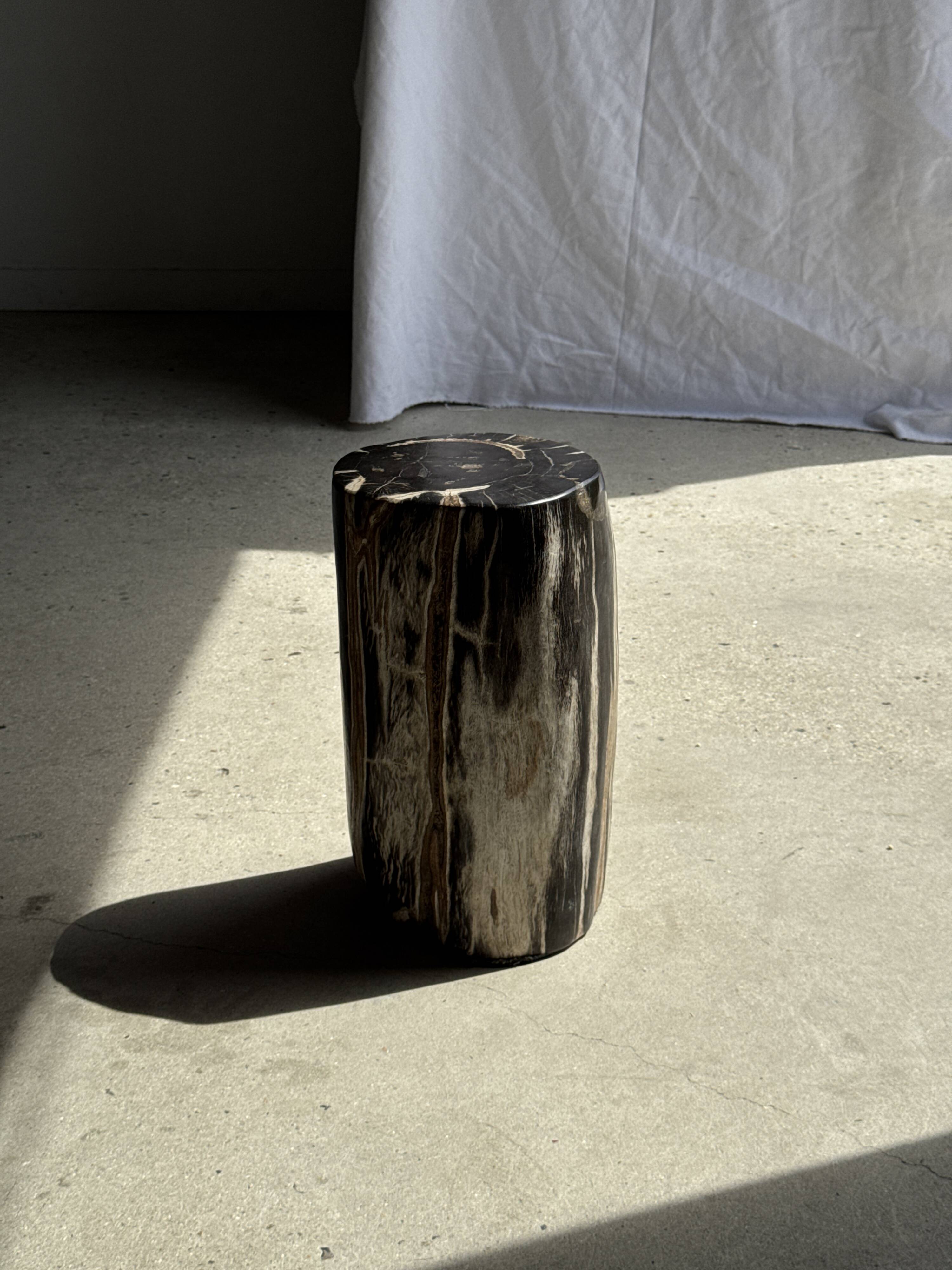 Table d'appoint en bois pétrifié noir