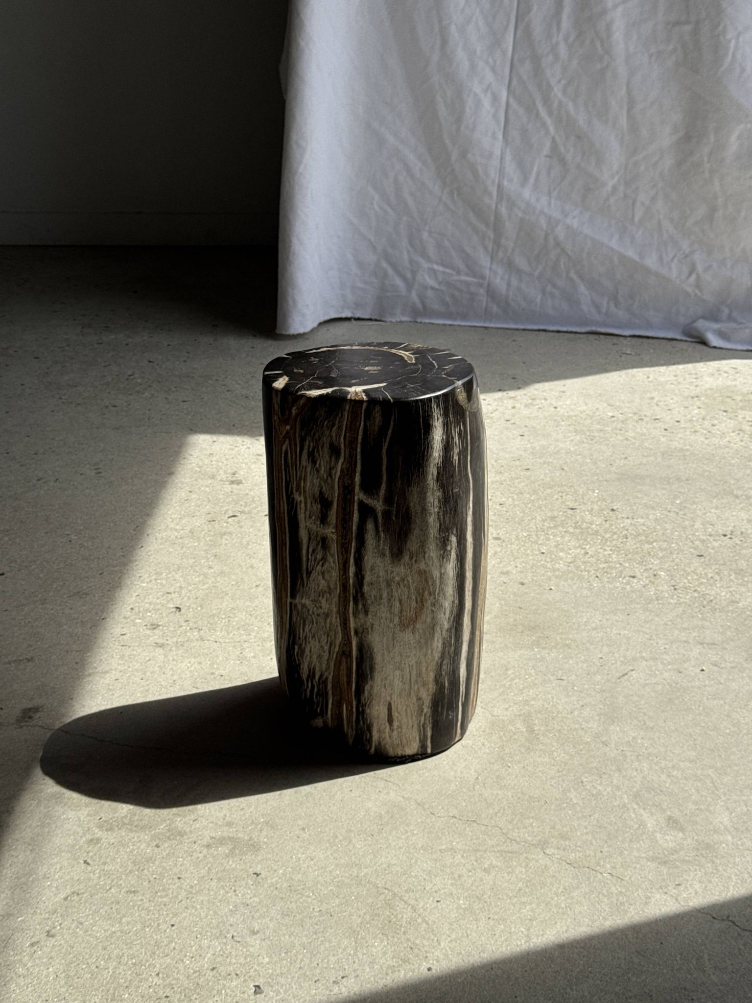 Black petrified wood side table with white and beige stripes H40 D23 - 3