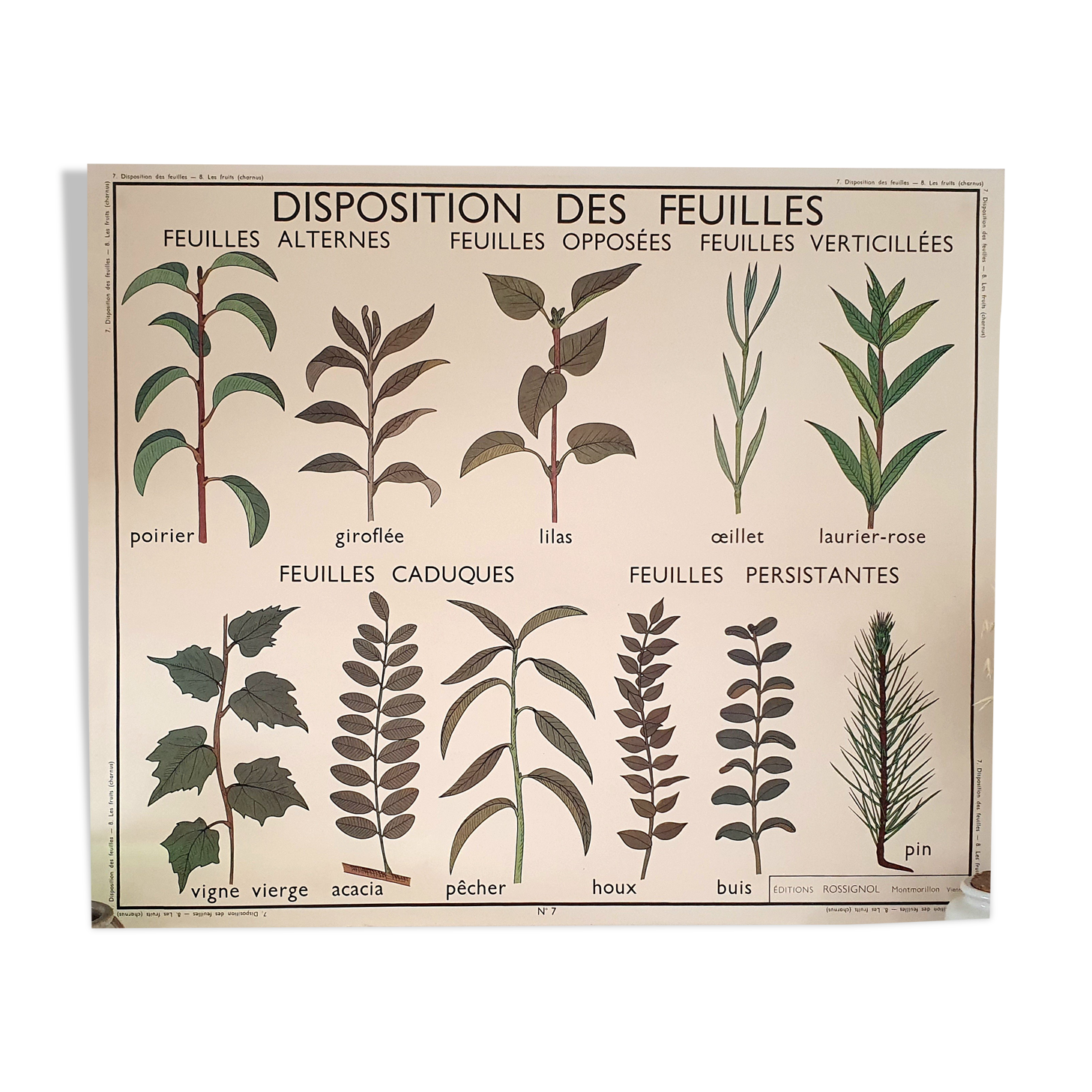 Rossignol school poster