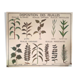 Rossignol school poster