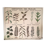 Rossignol school poster