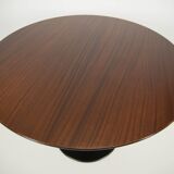 Mid-Century Pedestal Table by Dřevotvar Jablonné, 1960s, Restored