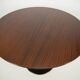 Mid-Century Pedestal Table by Dřevotvar Jablonné, 1960s, Restored