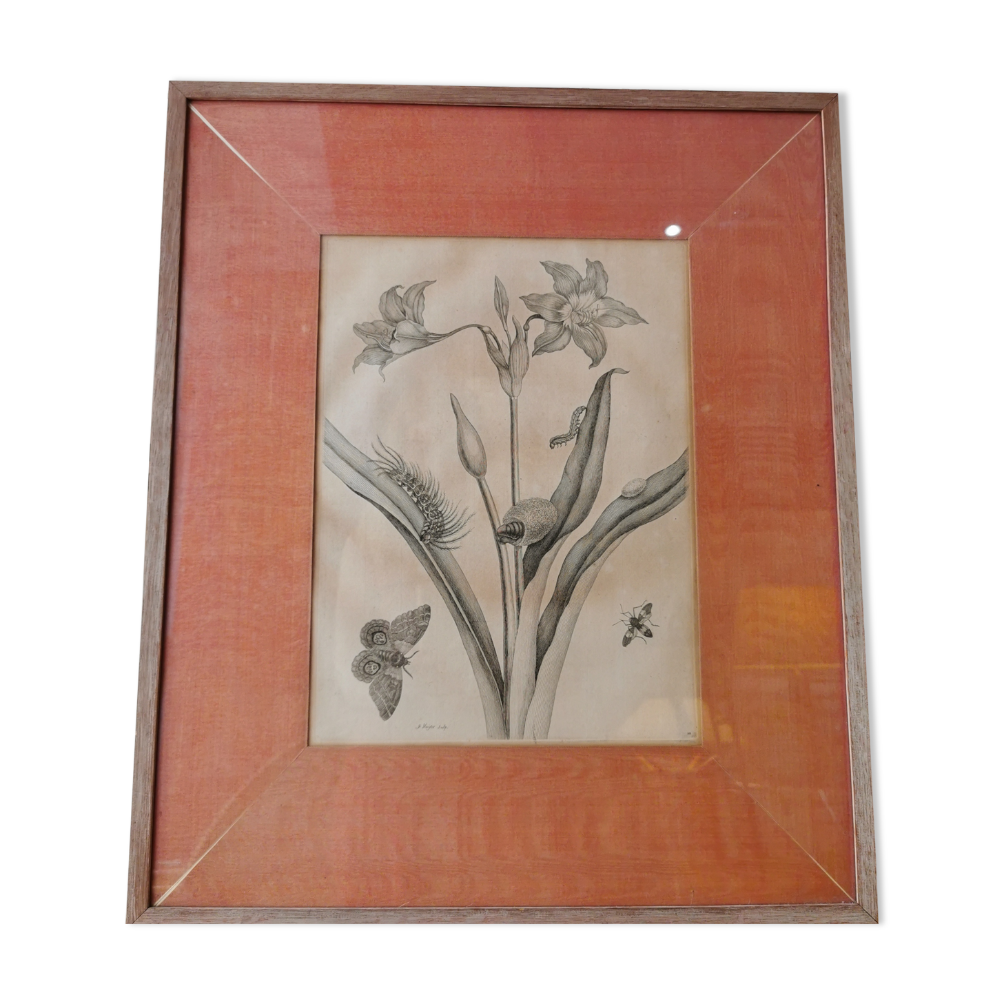 13th century engraving