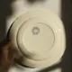 6 flat plates in earthenware from HB Choisy-le-Roi "Henriette"
