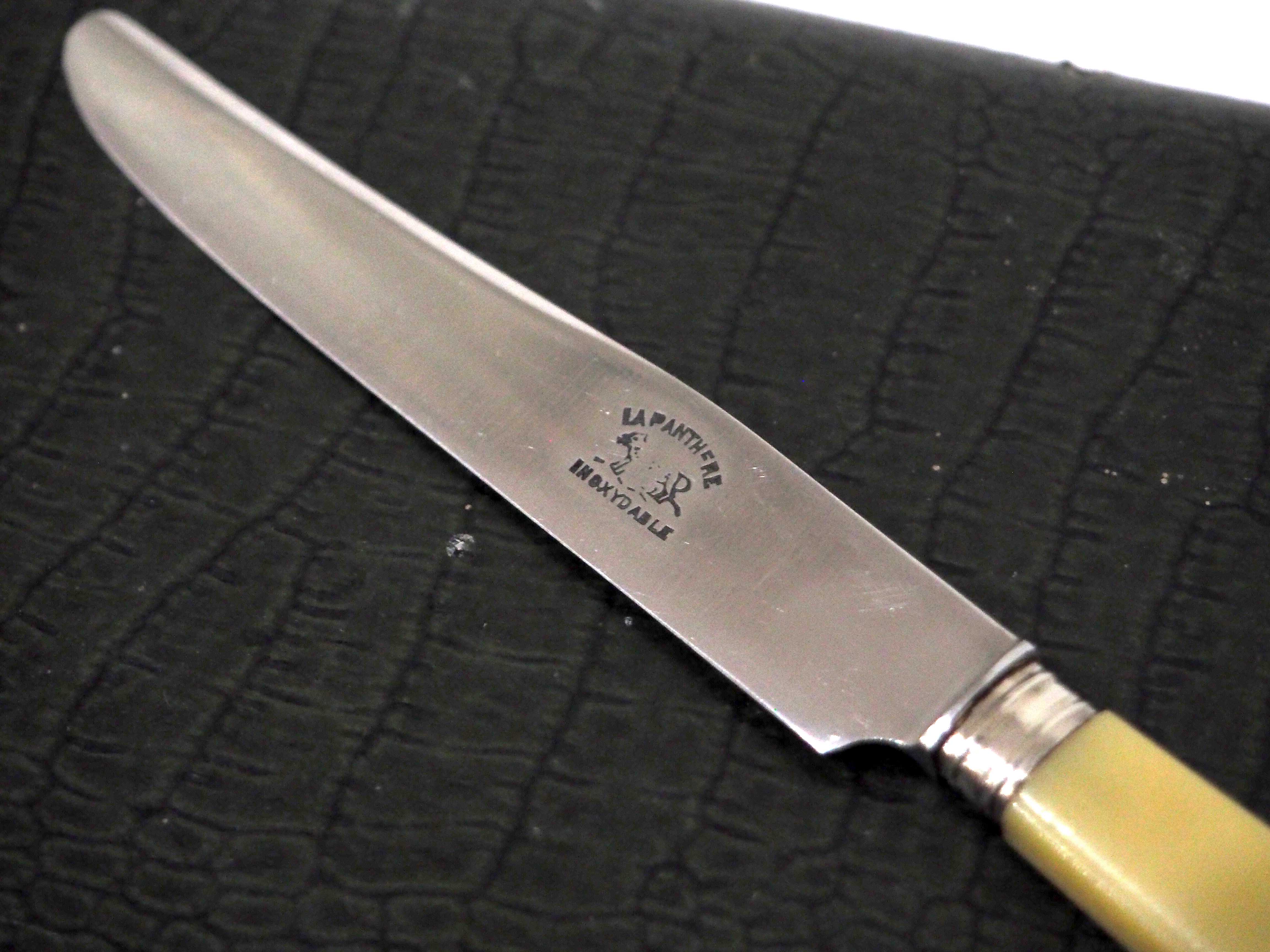 Series of knives "the panther"