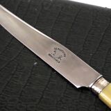 Series of knives "the panther"