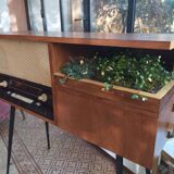 Planted 70s radio cabinet