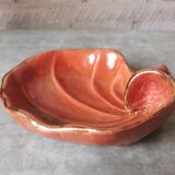 Empty pocket shell coral