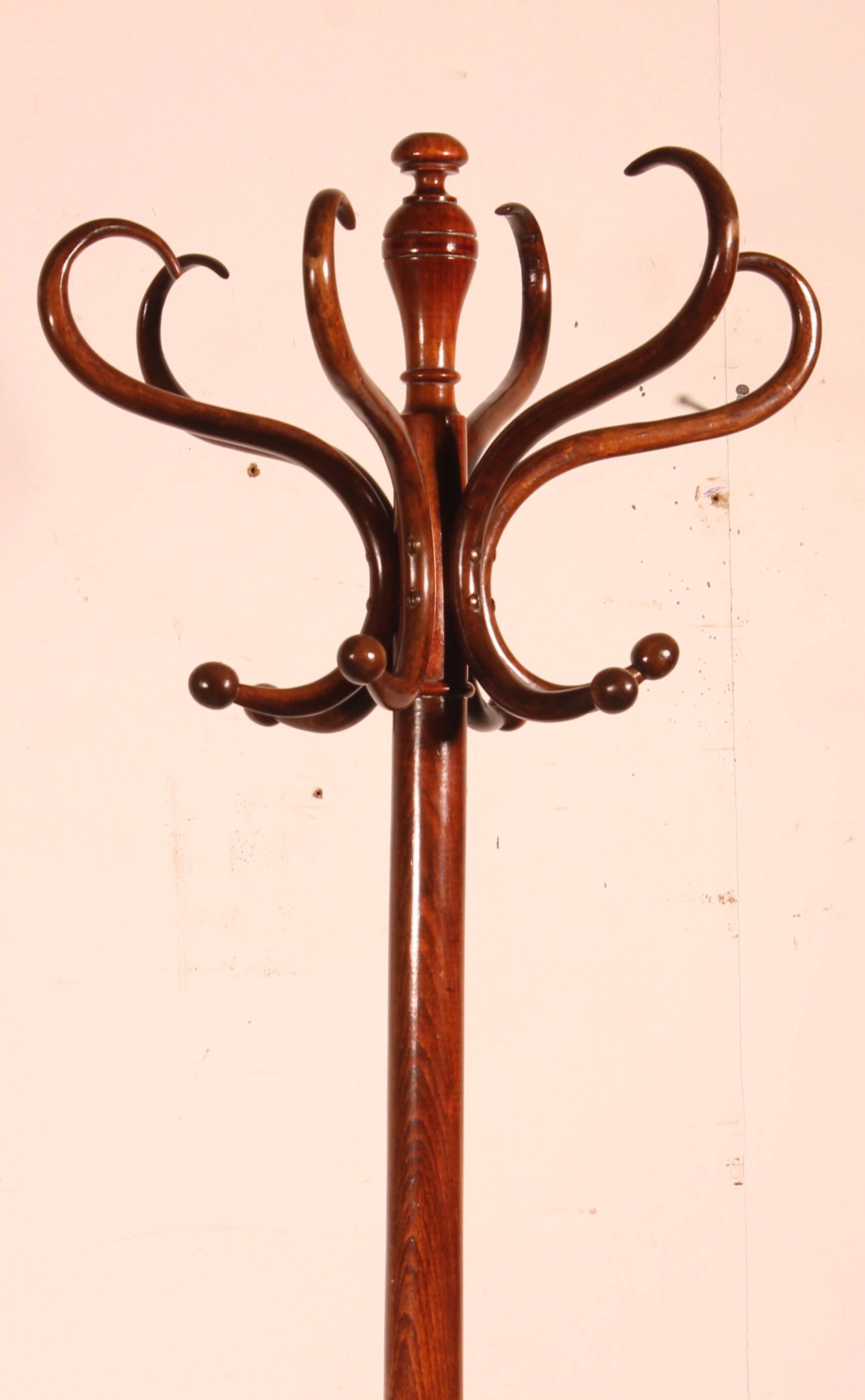 Parrot coat rack, Art Nouveau, known as Thonet