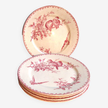 5 assiettes plates, faïence de Sarreguemines Digoin: modèle Favori rose, 23 cm