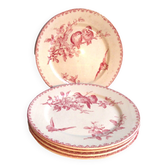5 assiettes plates, faïence de Sarreguemines Digoin: modèle Favori rose, 23 cm