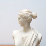 Greek bust of Diana in resin, 70s