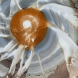 Series of 4 plates Pyroblan Sarreguemines vintage