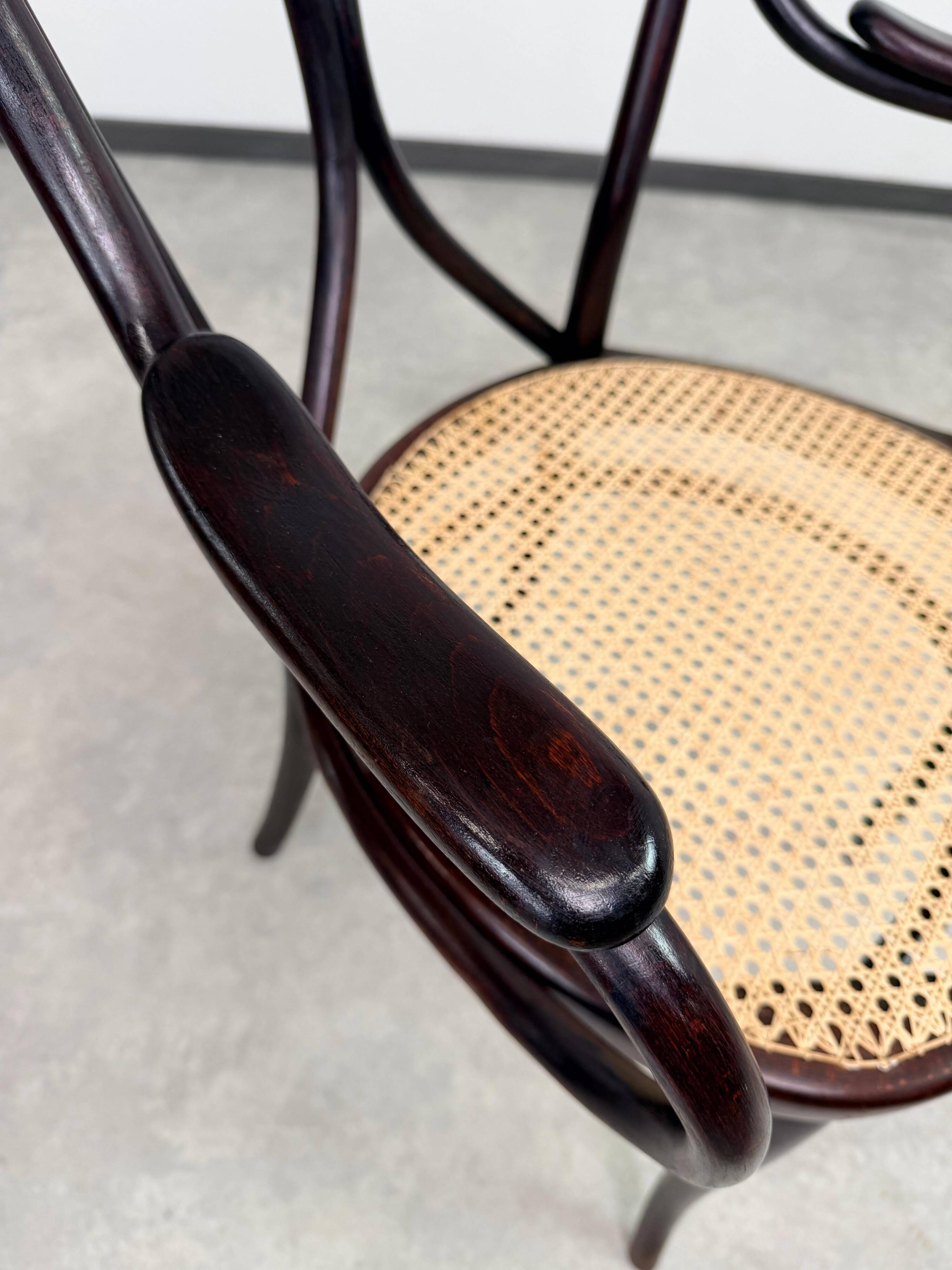 "Angel Back" armchair in bent wood no. 19 by Thonet
