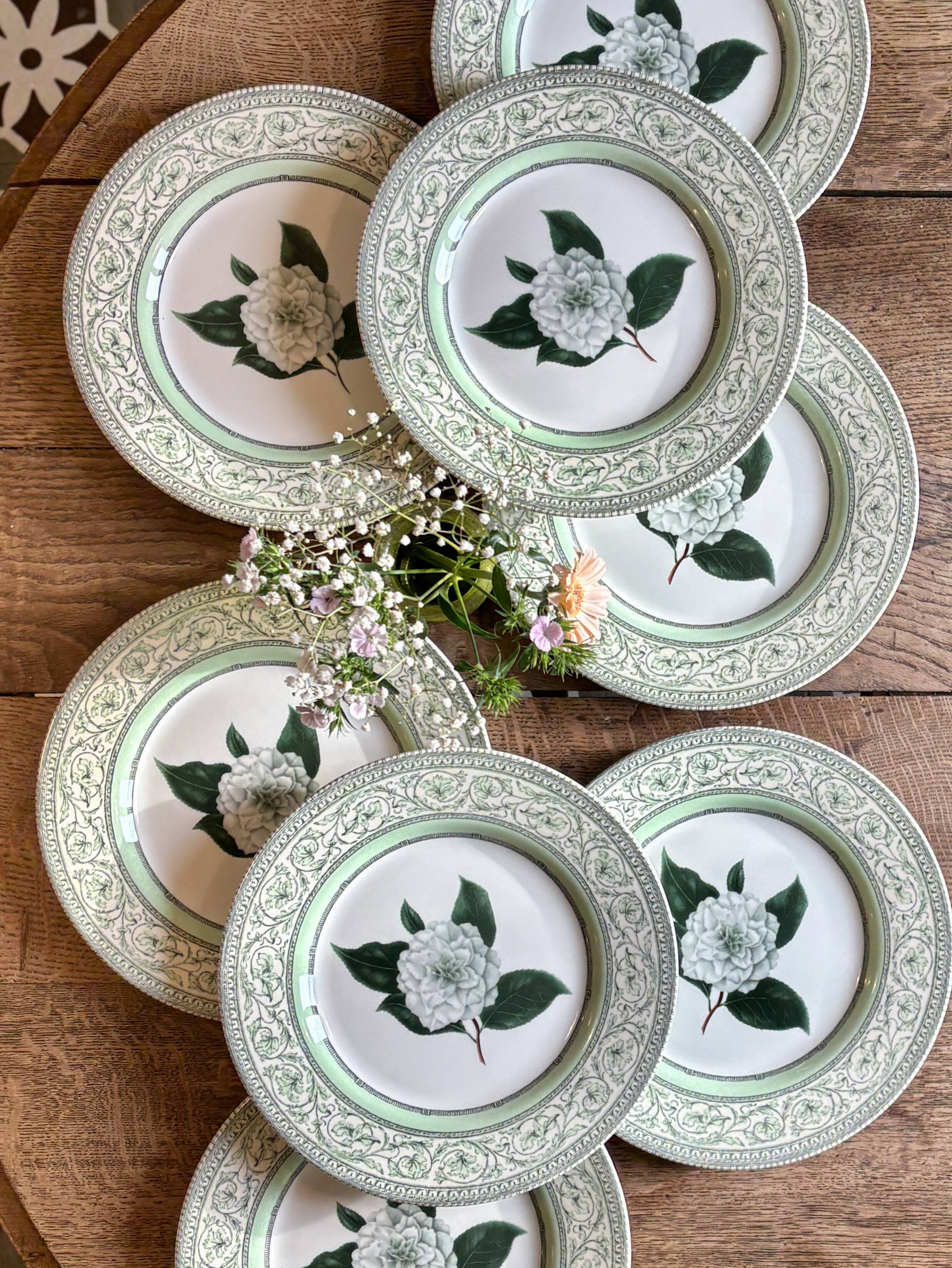 Lot de 8 assiettes plates Camélia - en porcelaine Anglaise