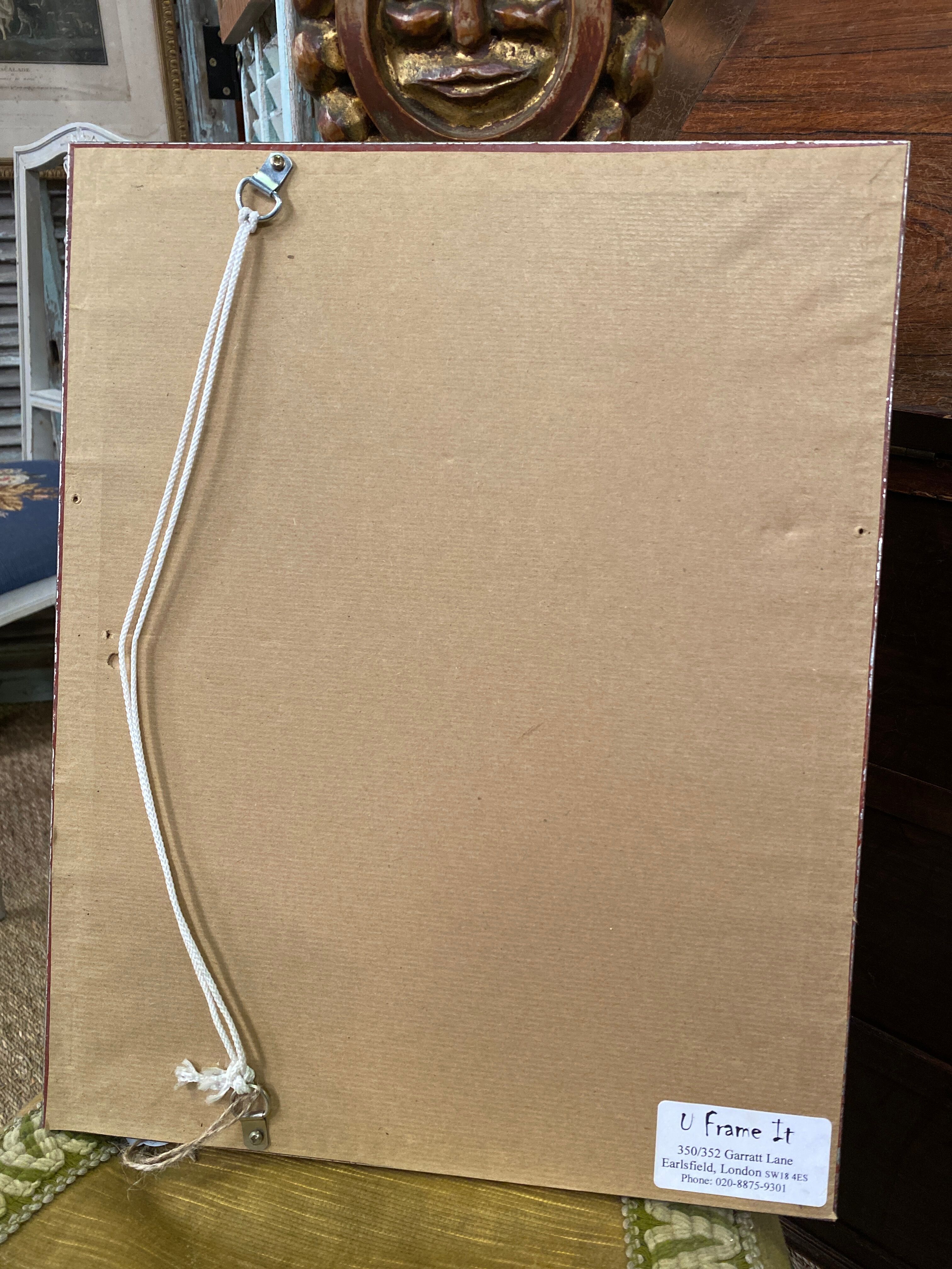 Fish engraving "Cycloptera"