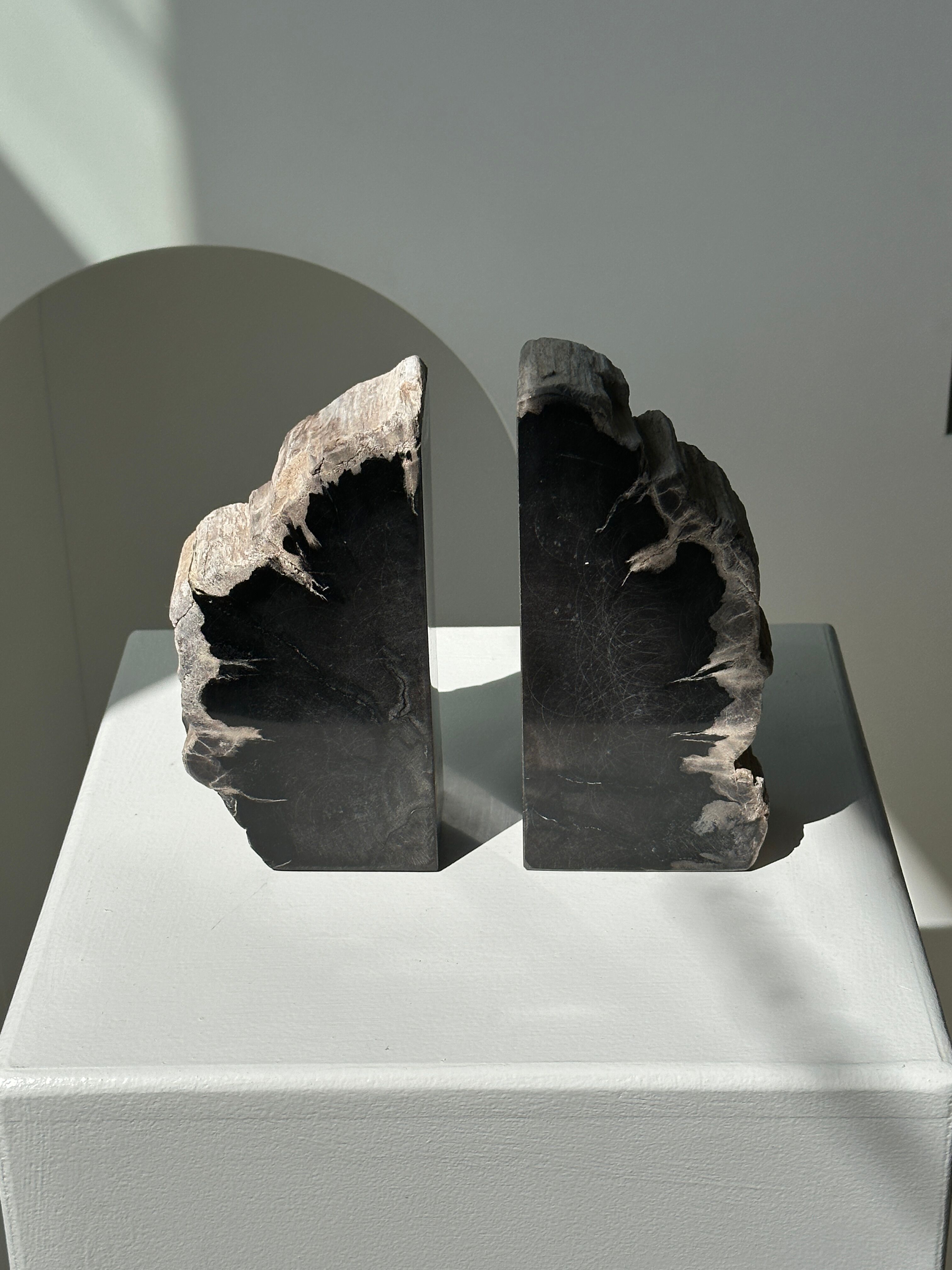 Black petrified wood bookend H17 L17 P6