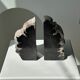 Black petrified wood bookend H17 L17 P6