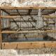 Cage à oiseaux bois ancienne