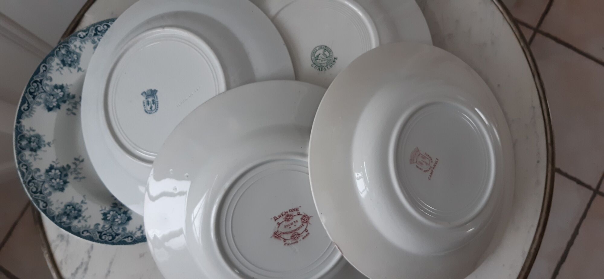 Set of 6 hollow plates Terre de Fer XIXth Saint Amand "Campanule" "Anémone"