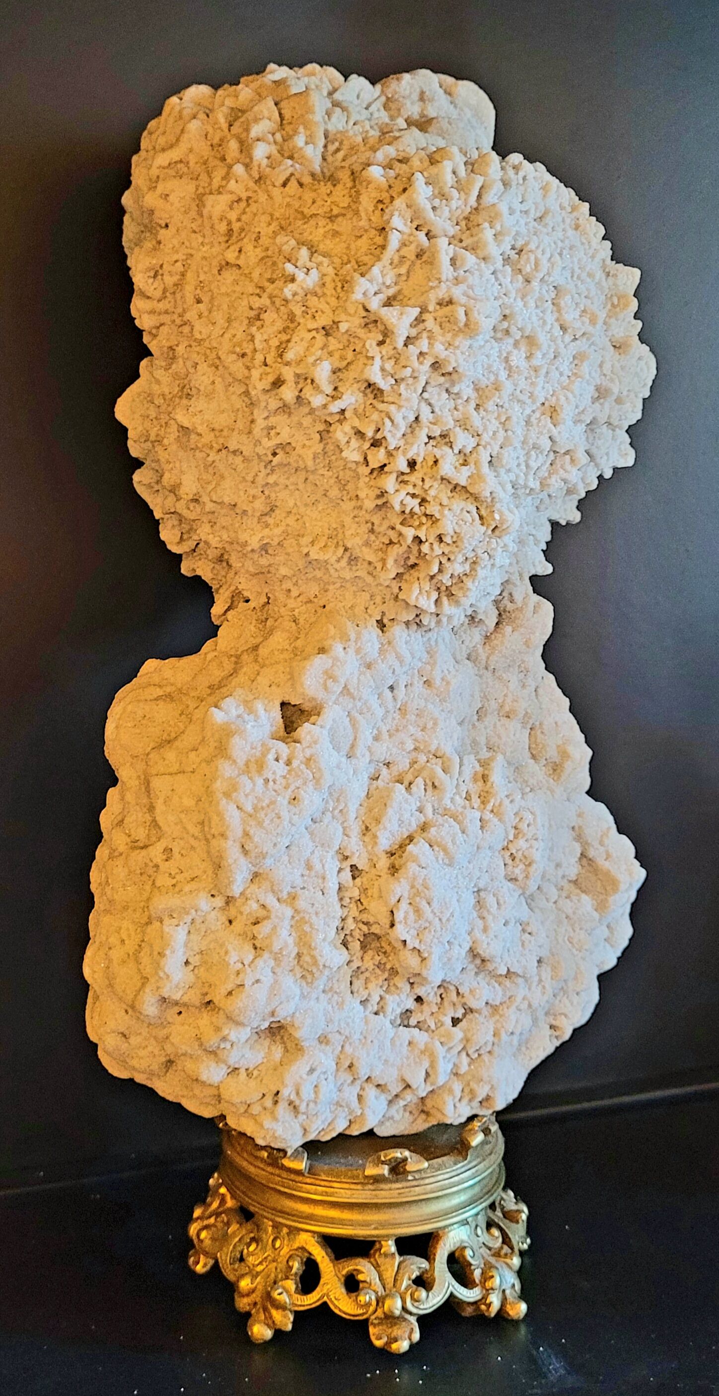 Cabinet of curiosities Naturalia and Minerals Gogotte de Fontainebleau