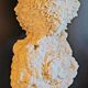 Cabinet of curiosities Naturalia and Minerals Gogotte de Fontainebleau