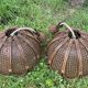 Duo of rattan and glass chandeliers