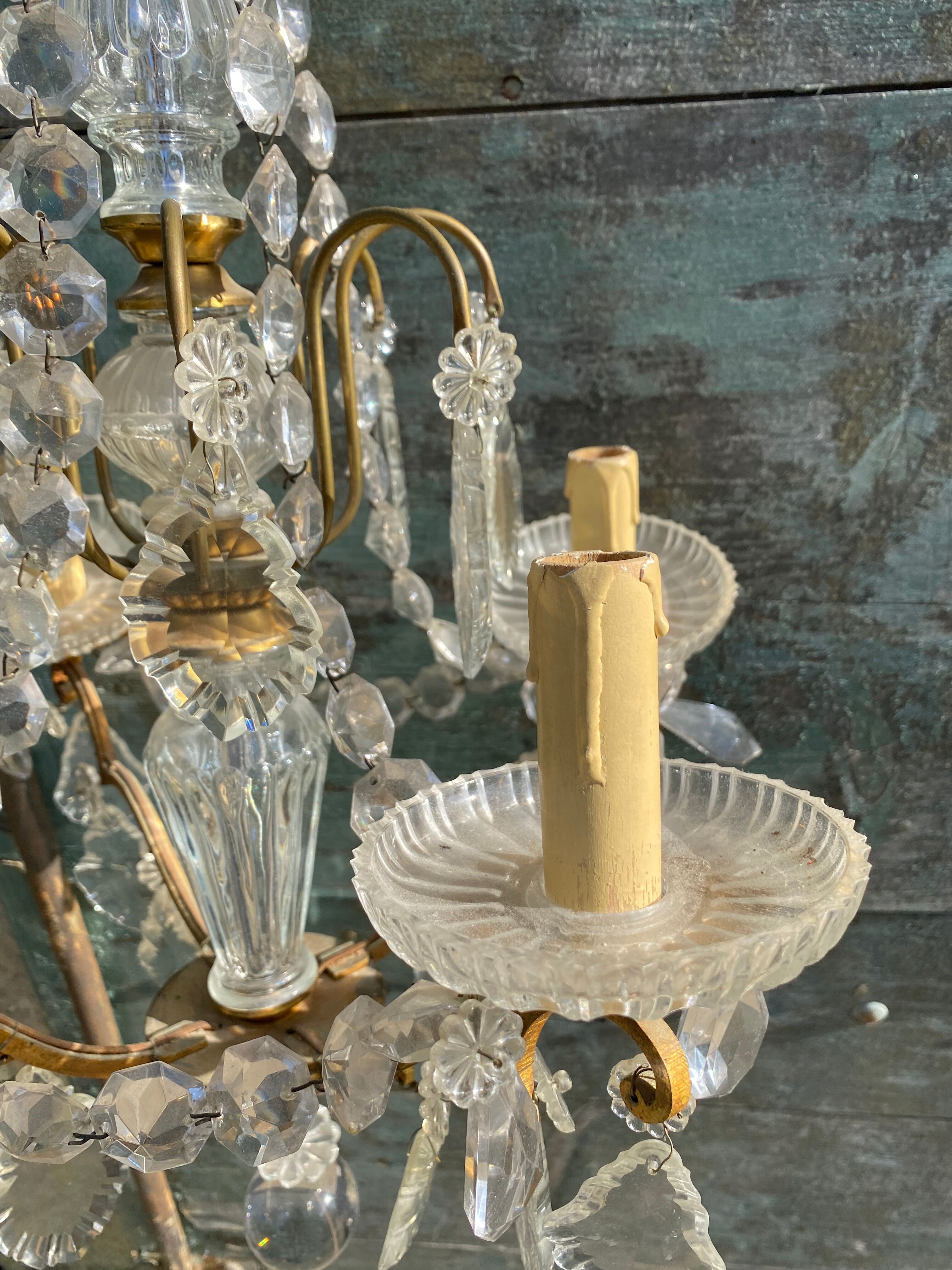 Chandelier with bronze and crystal grapevines