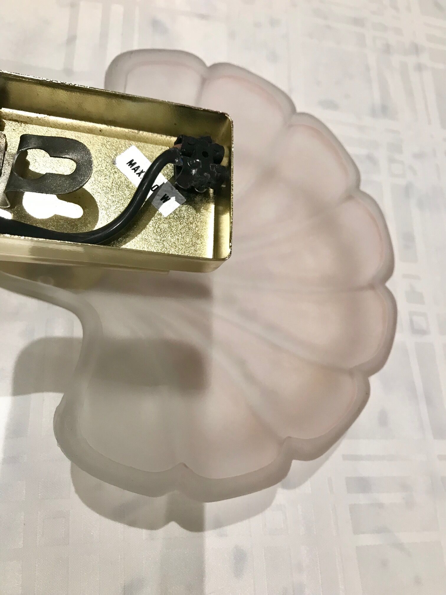 Pair of shell sconces