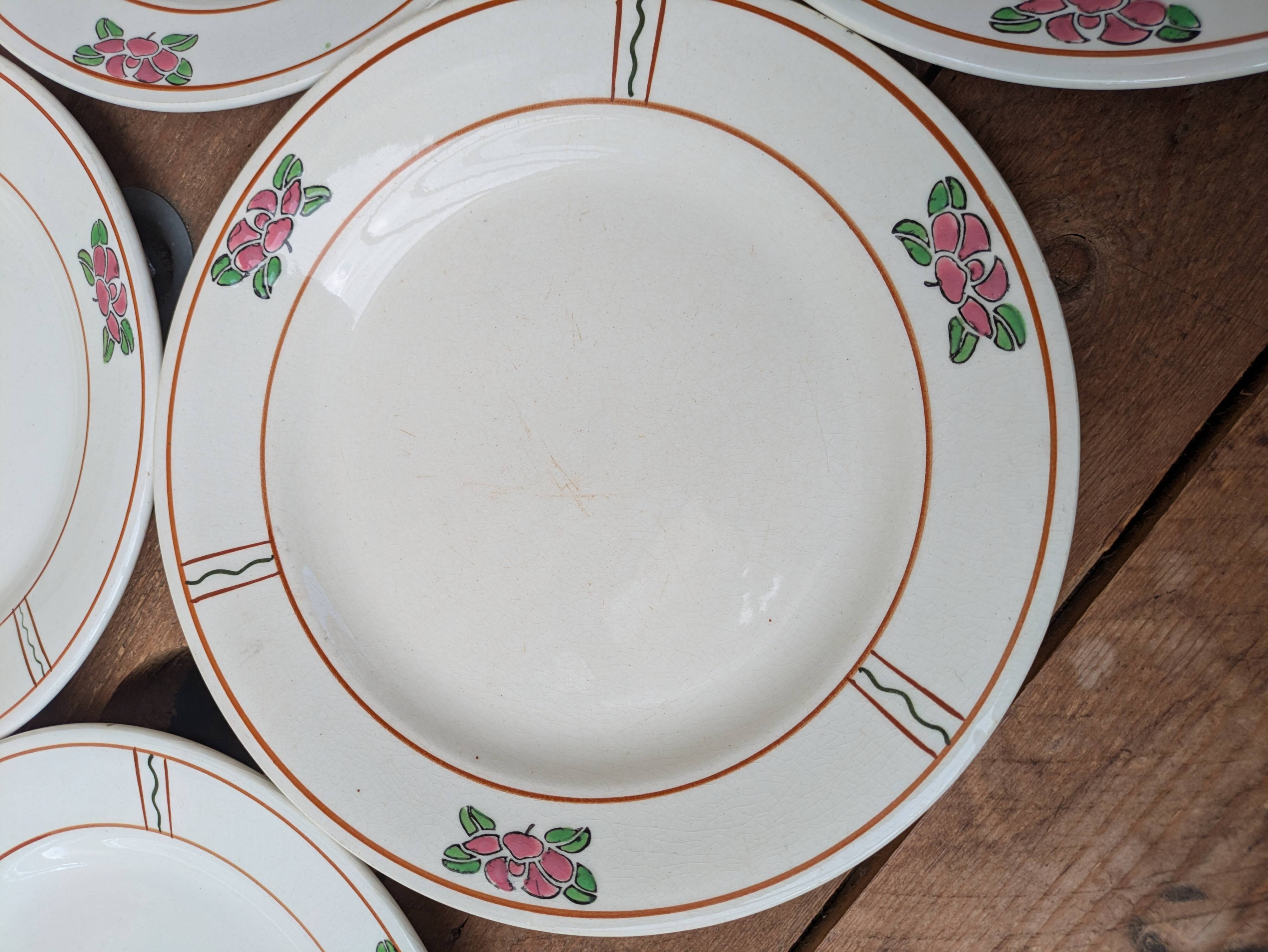 9 old flat plates in Salins ironstone model Nénuphar 24.5cm